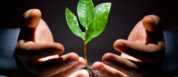 setting yourself up for a solid financial future